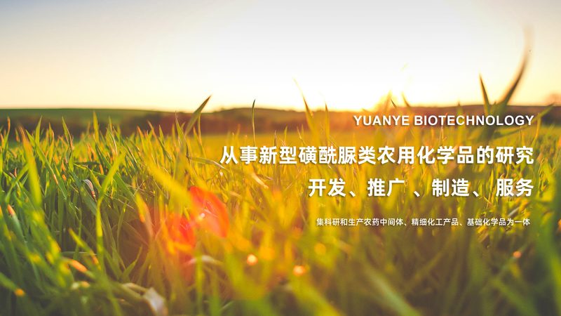 B2B行业CRO优化：揭秘提升研发效率的关键技巧