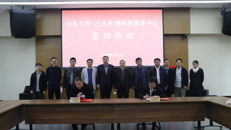 CRO优化团队工作步骤：高效研发的密钥