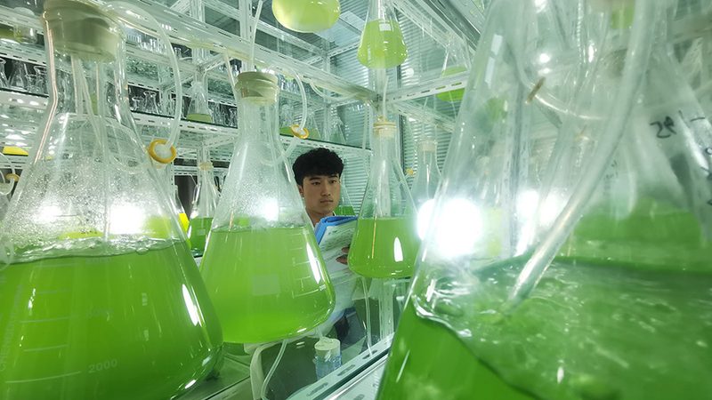 北京生物制品厂家：揭秘其地址背后的行业秘密