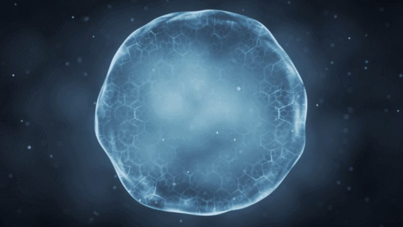 生物科技有限公司