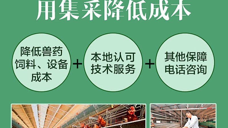 生物医药外包实验室：资质认证，保障研发质量**