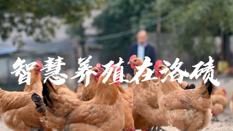 基因检测采样方法探秘：从样本采集到精准诊断